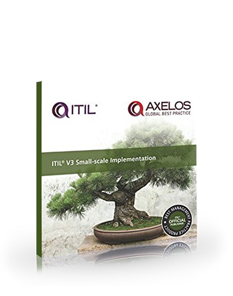 ITIL V3 Small-Scale Implementation