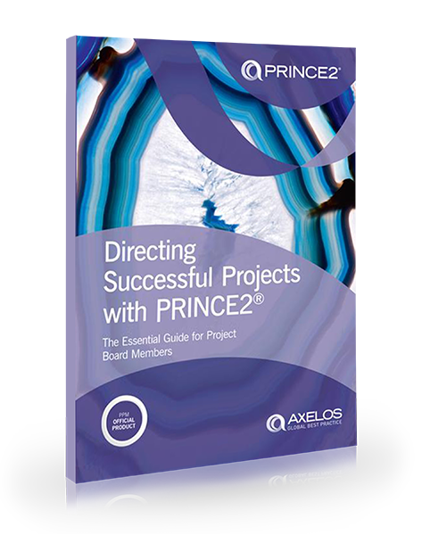 Directing Successful Projects with PRINCE2<sup class='sup'>®</sup>: The Essential Guide for Project Board Members