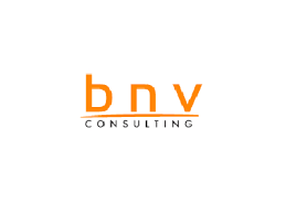 BNV Consulting